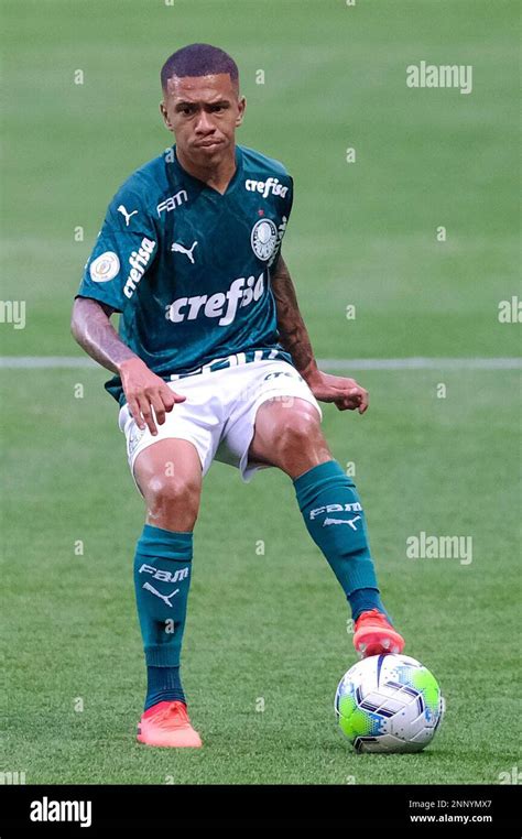 palmeiras x botafogo hoje